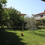 Studio Umag 7666A